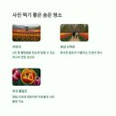 하늘빛수목정원 네이버블로그
