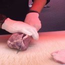 믿음축산 | 가락시장 정육점 추천 : 무조건 &#39;은희축산&#39; 고퀄리티 한돈 후기