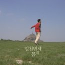 일천