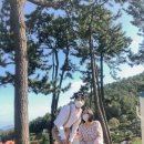 남해여행 - 남해 독일마을, 상상양떼목장 &amp; 편백숲