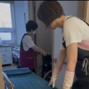 CW-1817-01 | 요양보호사 3년 뒤 11만명 부족