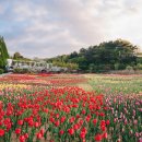 월선캠핑장 | 아산 피나클랜드, 꽃만 보고 가면 놓치는 관람 순서와 시간대