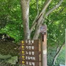 오소재약수터 | ​[BAC 명산 💯] 두륜산 최단 코스 (오소재약수터~가련봉)