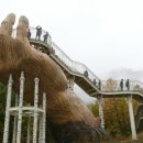 자연-탄생 이미지