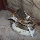 순흥초등학교 이미지