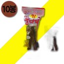 오징어짱이야