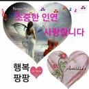 언제나,예쁘다 이미지