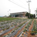 성동보건진료소 이미지