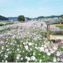 장천한우 이미지