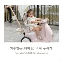 코지 | 외출이 한결 가벼워진 육아 필수템 씨투엠뉴 코지 푸쉬카 후기