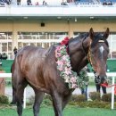 원평2로 이미지