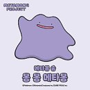 2026년 6월 일기 | 집들이 외 (부제 : 머리가 나쁘면)