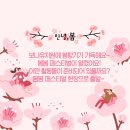 봄봄유치원 이미지