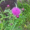 청살림영농조합법인 이미지