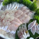 남도1번지횟집 | [국내/여수순천] 가을맞이 남도 맛집 여행