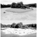 Urban Fore 이미지