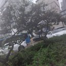 어제 폭우로 강남역에서 교대역사이 물먹어던 차량들이 어지럽게 엉켜 있네요 이미지