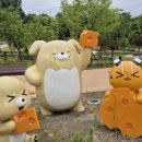 오수의견 국민여가캠핑장 이미지