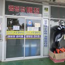 ㈜솔향강릉오토캠핑장 | [내돈내산] 강릉 가성비 숙소 추천! 안목해변 도보 5분 솔향강릉카라반캠핑장(강릉경찰카라반) B타입 후기