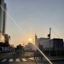 (야간)봄을 맞이하는 야간의 플로리스트(3월) | 아침 러닝 저녁 러닝, 뭐가 더 효과적일까? | 다이어트·체력·수면까지 87kg 러너의 솔직 비교