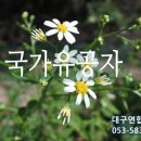 김덕수 행정사사무소 이미지