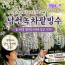 남천1-205 | 부산 5월 지금 당장 가야할 등나무꽃 카페 광안리 근처 "남천녹차팥빙수"