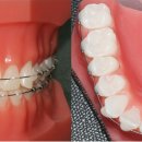 선치과의원 이미지