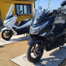 디앤에이(DNA) 이미지