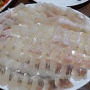 울릉도회참치