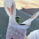 노블피아 요양원