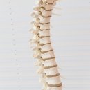 예스본의원 이미지