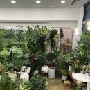 충주음악창작소 | [충주꽃집] 충주 꽃이야기 방문 후기 🌷