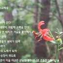 구봉산 도등 | [부산] 엄광산(504m),구봉산 산행후기---2024년 6월 22일(토)