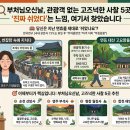 ㈜나라고속관광 | 📿 부처님오신날, 관광객 없는 고즈넉한 사찰 5곳 - "진짜 쉬었다"는 느낌, 여기서 찾았습니다