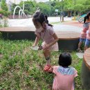 김포서초병설유치원 이미지