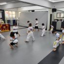 경희대 파란 태권도 이미지