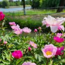 강진호수농장 이미지