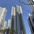 두류초등학교 | 대구 두류역자이 59 신혼부부 신축 아파트 임장 후기 2탄