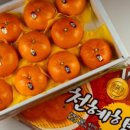 과일특공대 - 11176 | 과일특공대