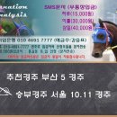 ♣ 12월 03일 일요일 추천마번 이미지