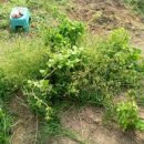 모악농장 이미지