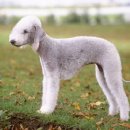 지엔동물병원 이미지