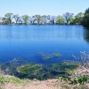 정봉아농장 이미지