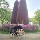 설봉국수 이미지
