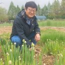 강화농부이씨