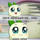 얘들아 여름 오기 전에 봄 마무리글 간다 上