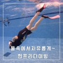 금화로 | 광주 현프리다이빙에서 레벨 1 도전 염주체육관 솔직 후기
