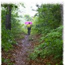 대전둘레산길(5구간) 이미지