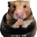 양촌초등학교 | [ 김포시 양촌읍 ] 김포 창고형 할인마트 불곰마켓 후기