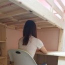 코리아레드파인 이미지